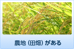 農地（田畑）がある