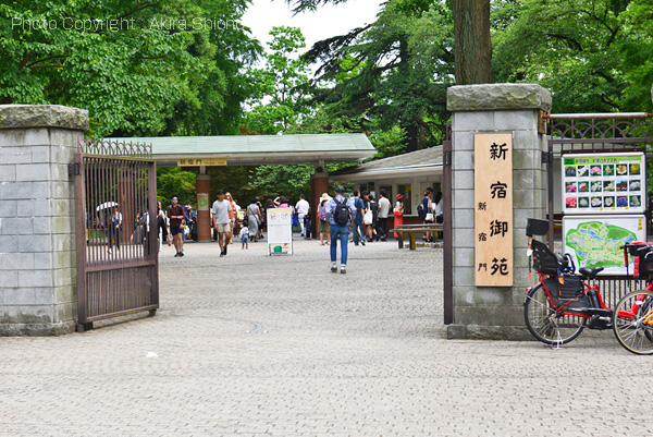 新宿御苑近く