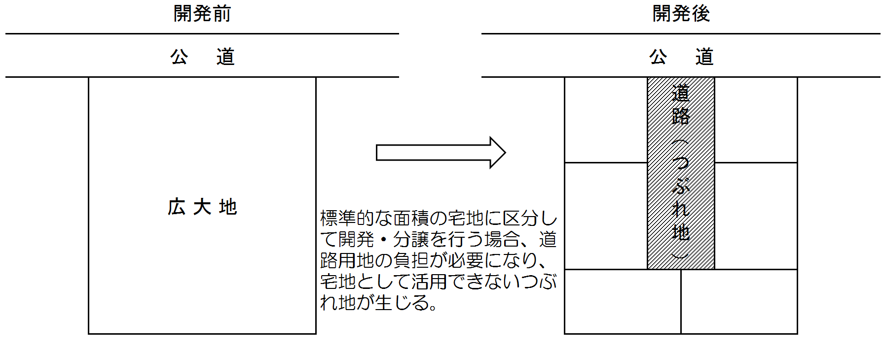 相続税　税理士　広大地