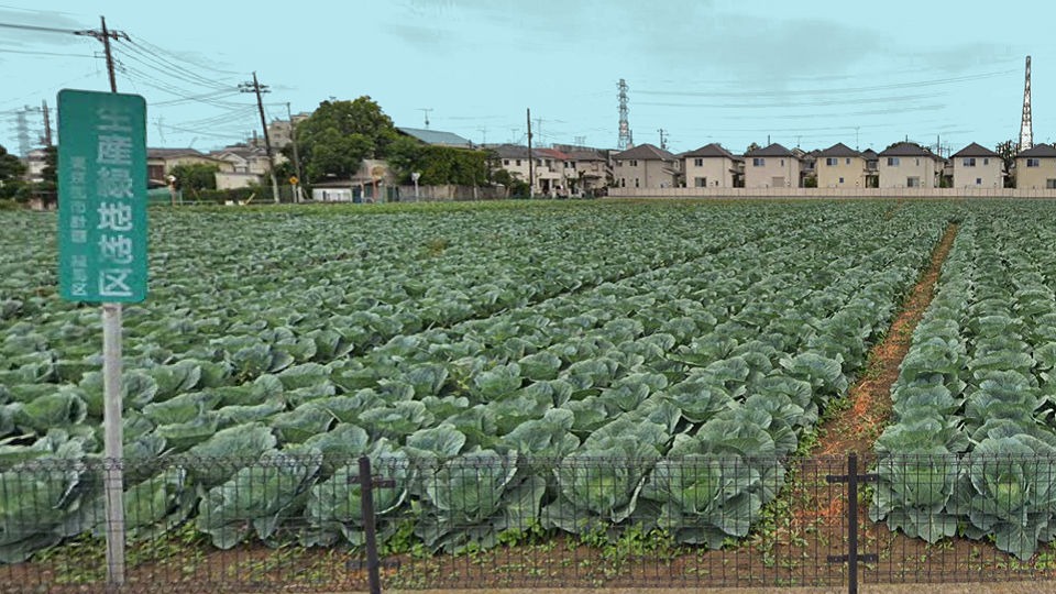 生産緑地