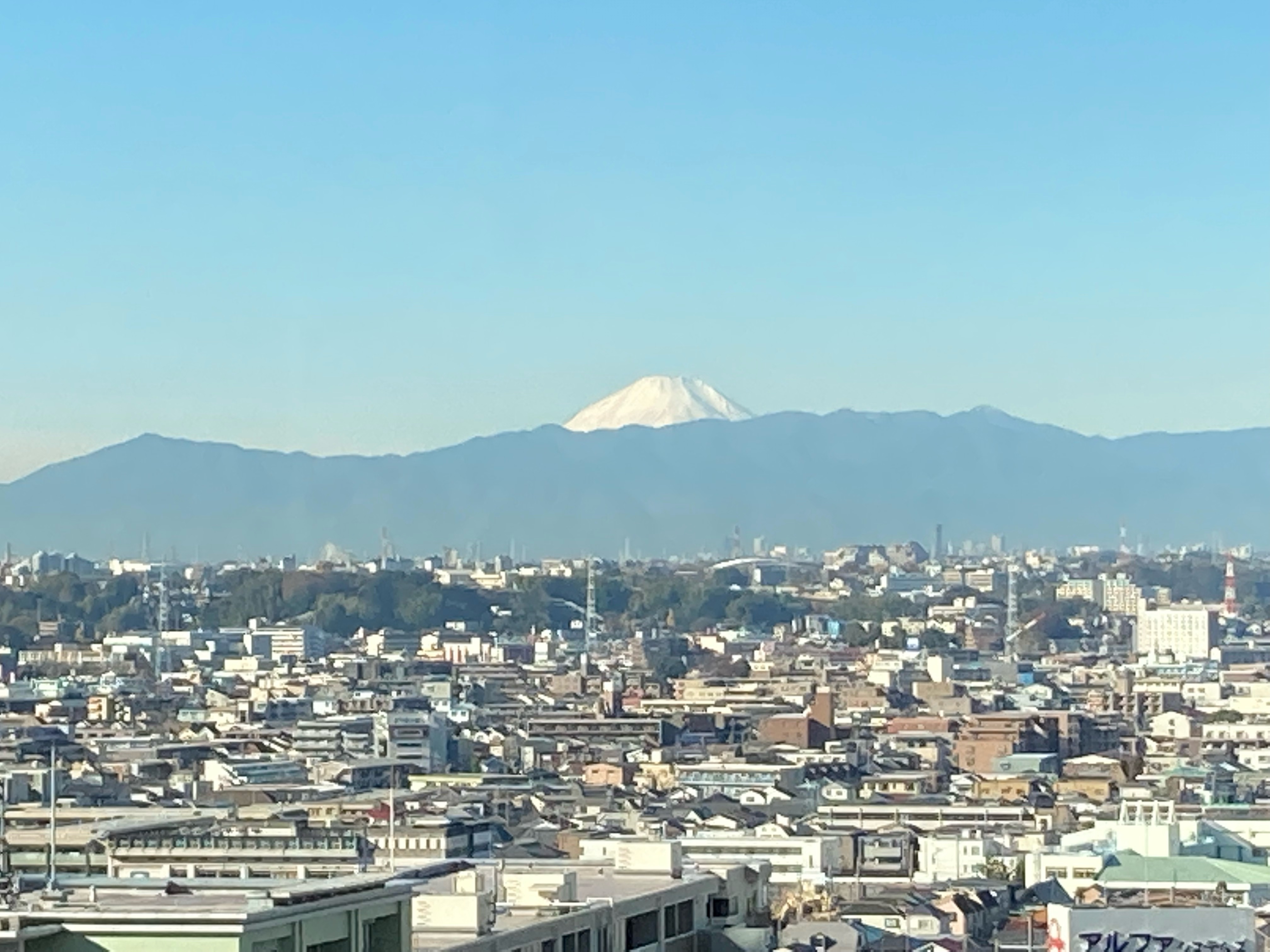 富士山が見えます